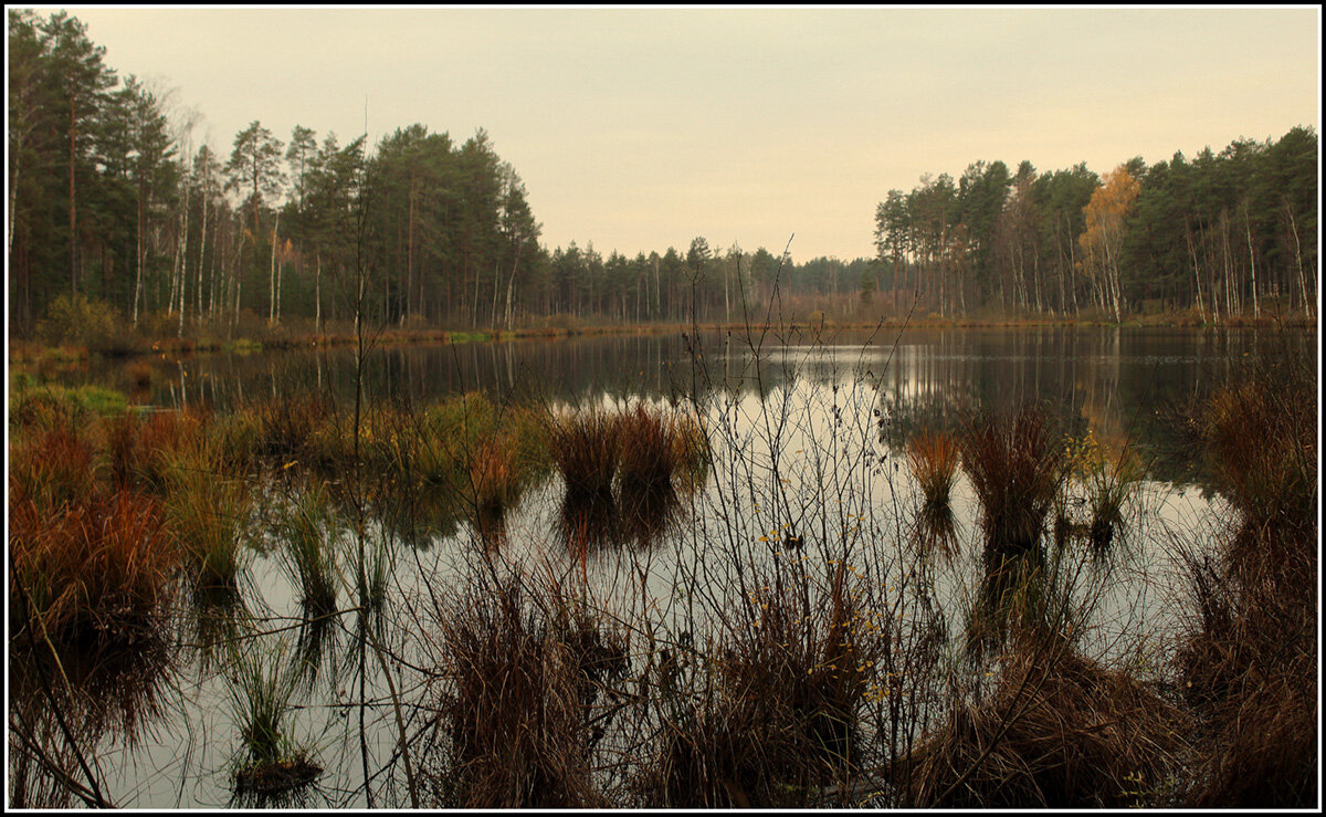 Пришла унылая пора - Aleksandr Gal