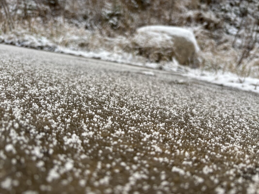 Припорошило - Ольга Савельева 