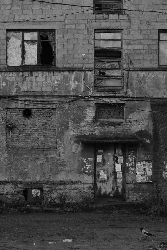 Дверь, окно, ворона, кошка. - Арсений 