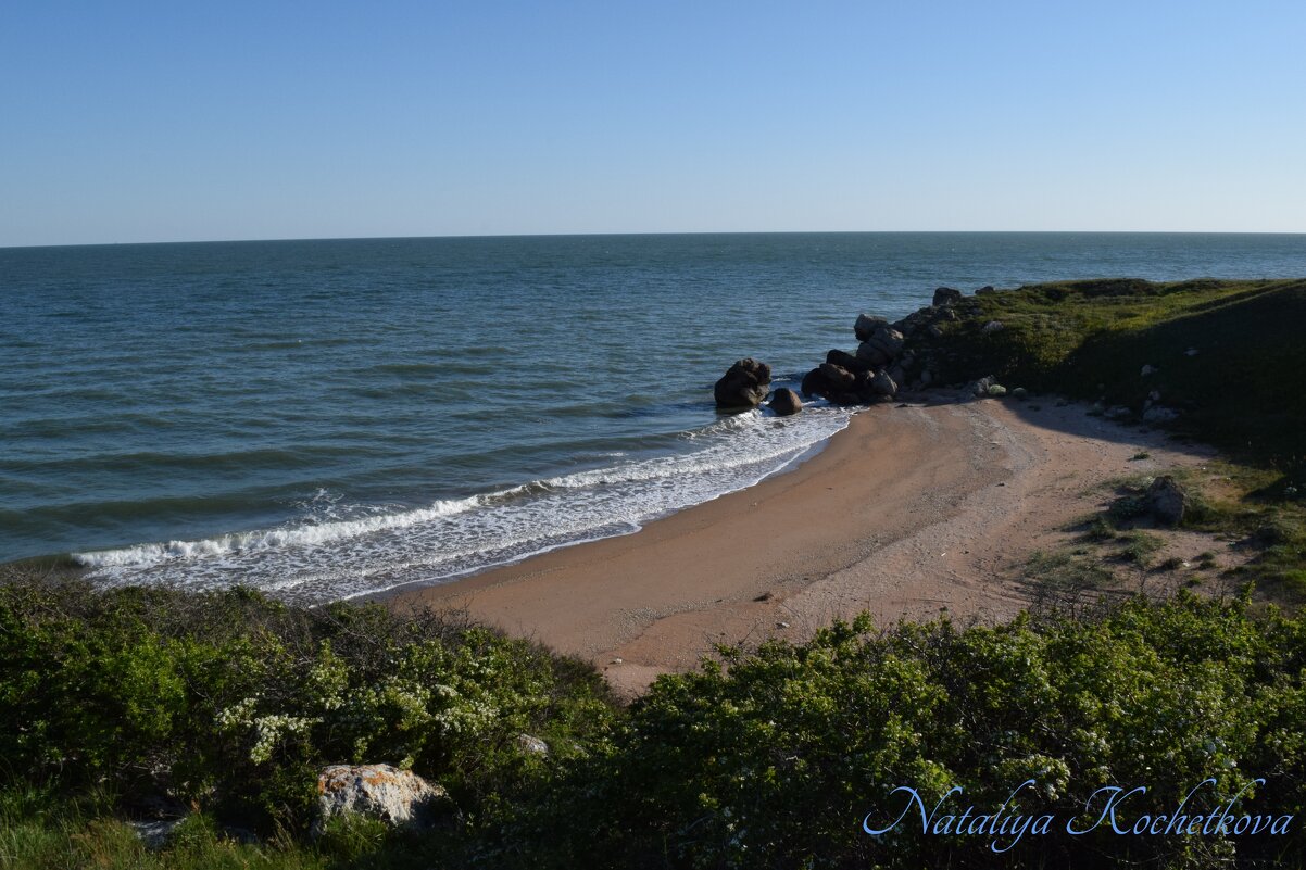 Природа Крыма - Amazing Cosmea