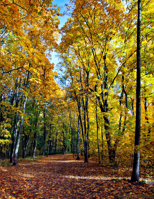 осень, Санкт Петербург - Laryan1 