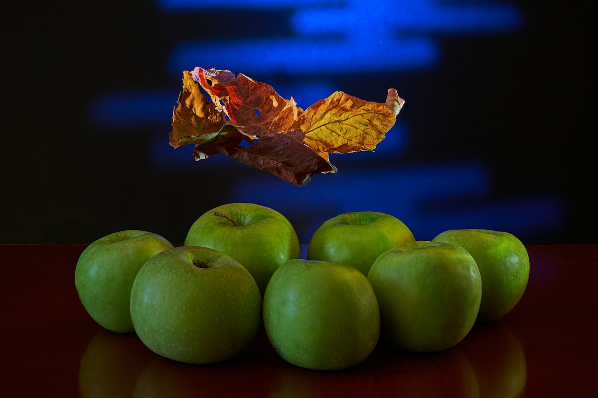 Последний лист... - Владимир 