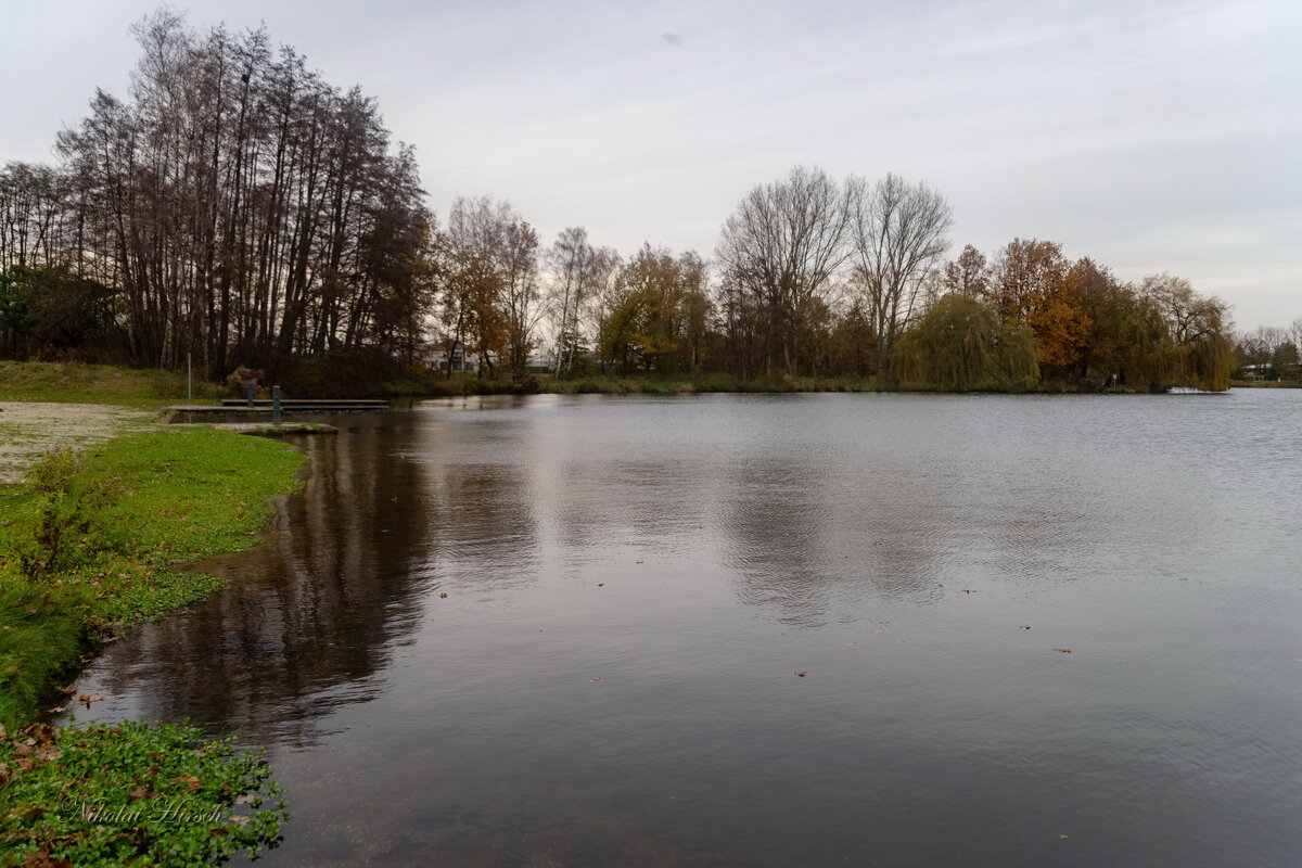 *** - Николай Гирш