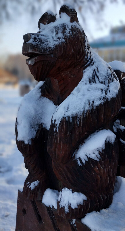 Медведь - Радмир Арсеньев