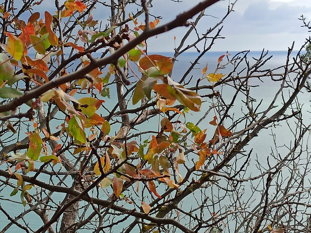 Бархатный сезон. Крым. - Галина 