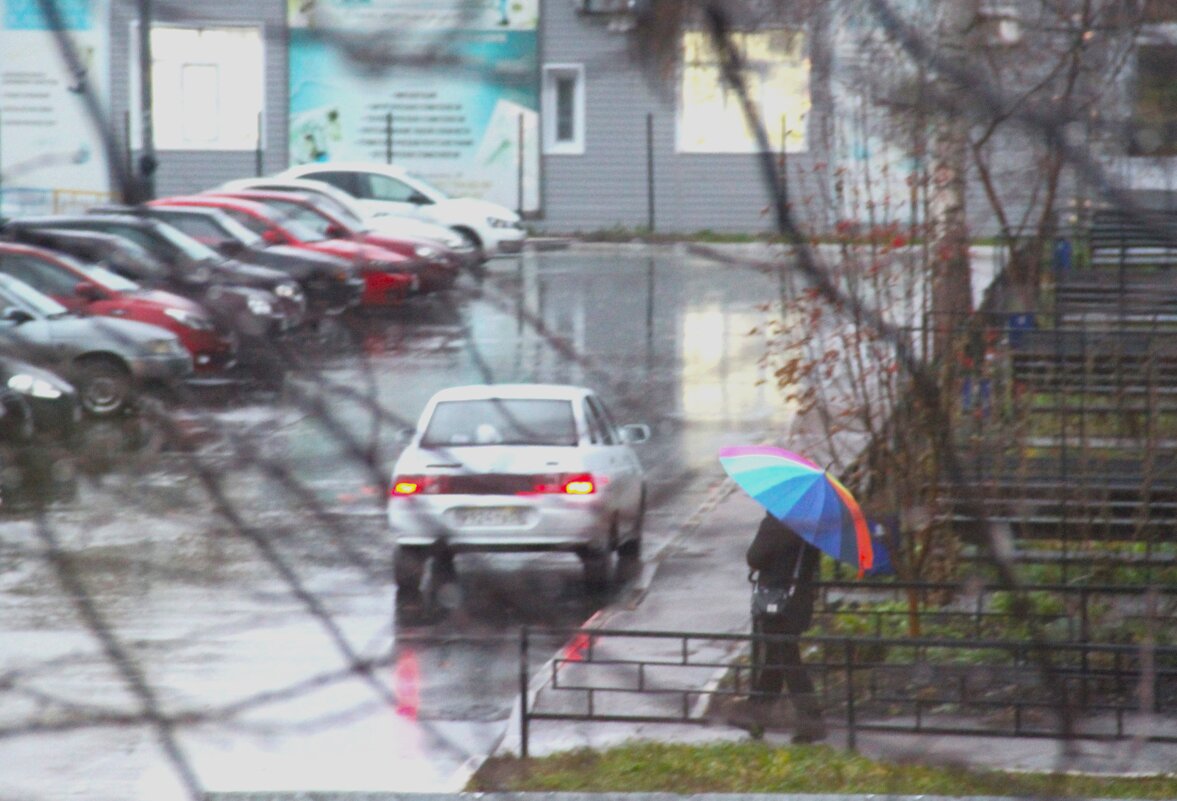 Ноябрь - Венера Чуйкова