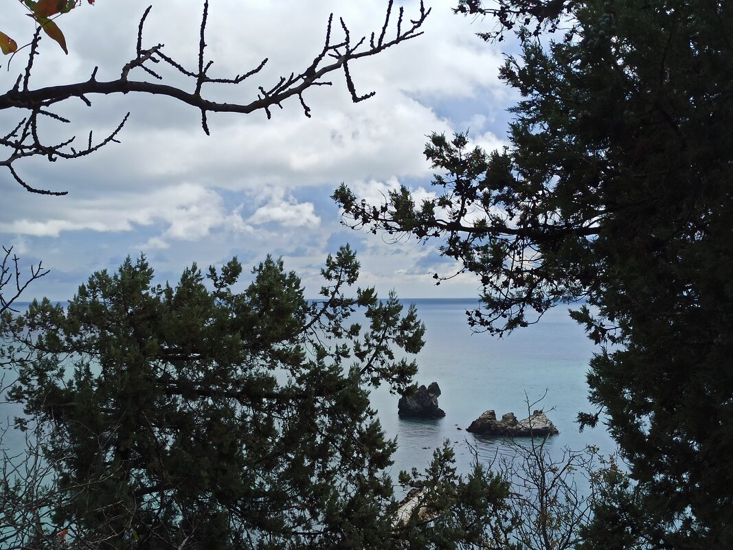 Бархатный сезон. Крым. - Галина 