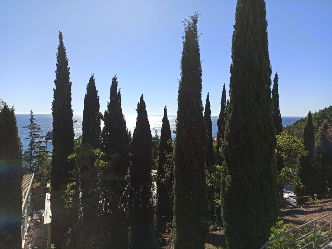 Бархатный сезон. Крым. - Галина Бархатный сезон. Крым. - Галина