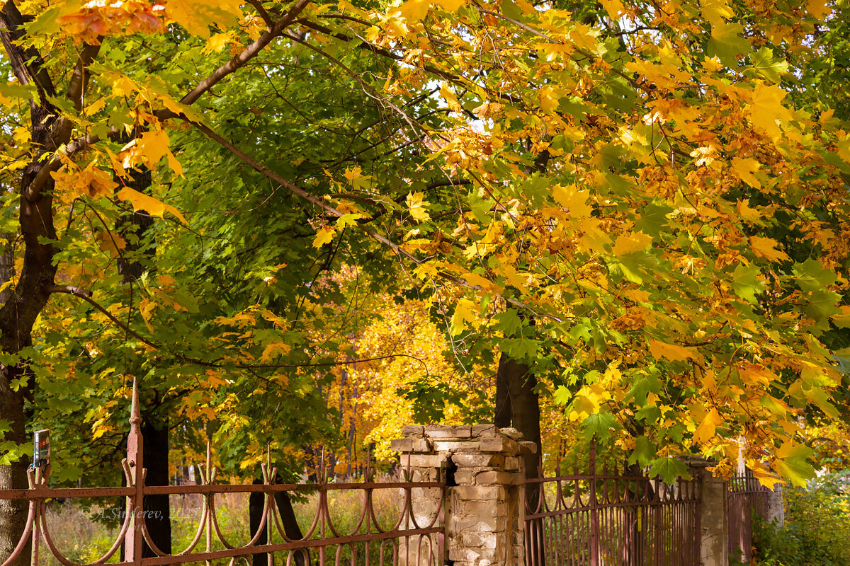 Осенняя природа - Александр Синдерёв