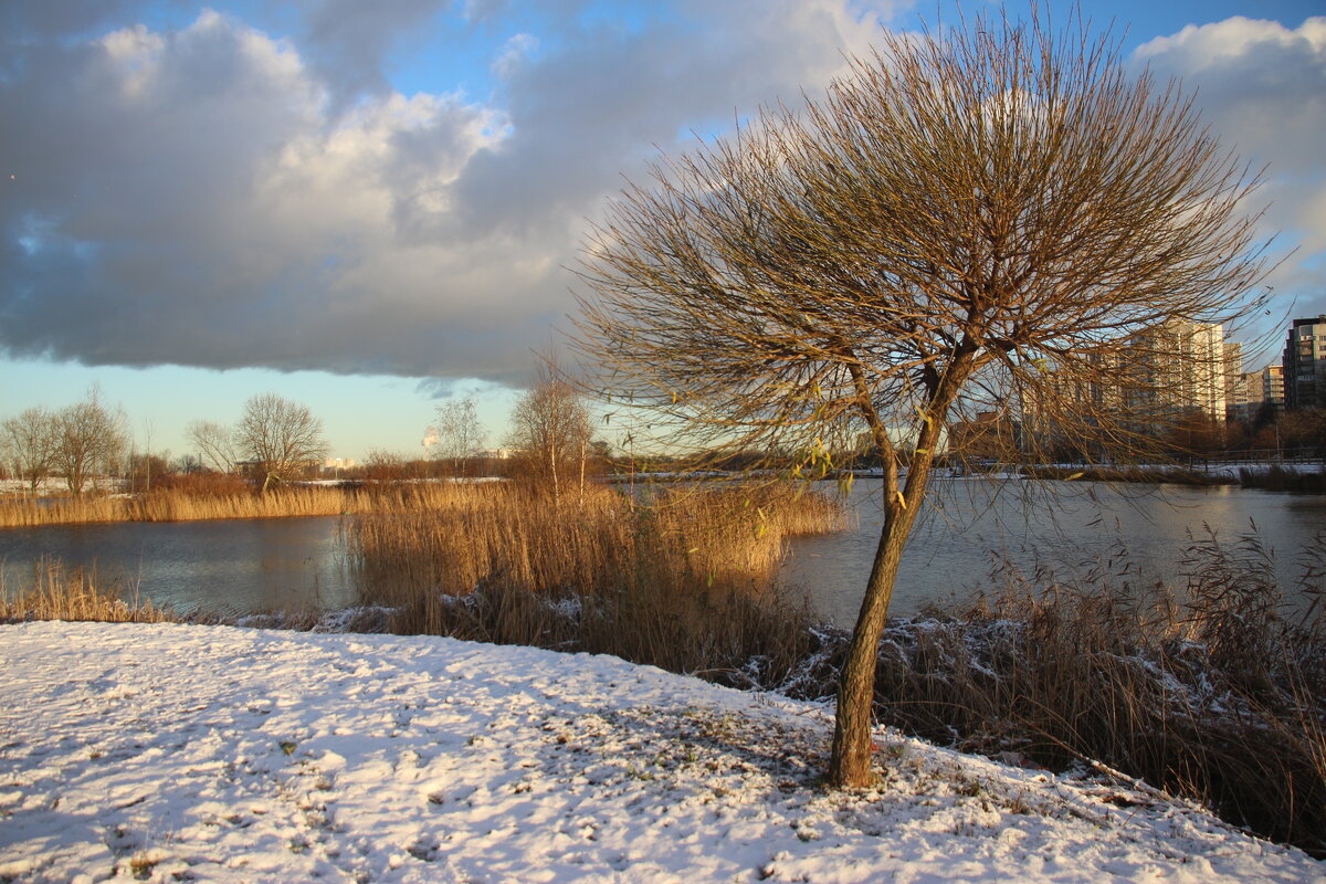 Парк Героев-пожарных. Ноябрь - Наталья Герасимова