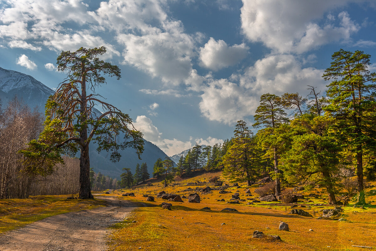 Долина реки Аксаут. - Аnatoly Gaponenko