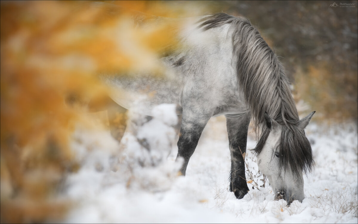 Вкус тишины - Влад Соколовский