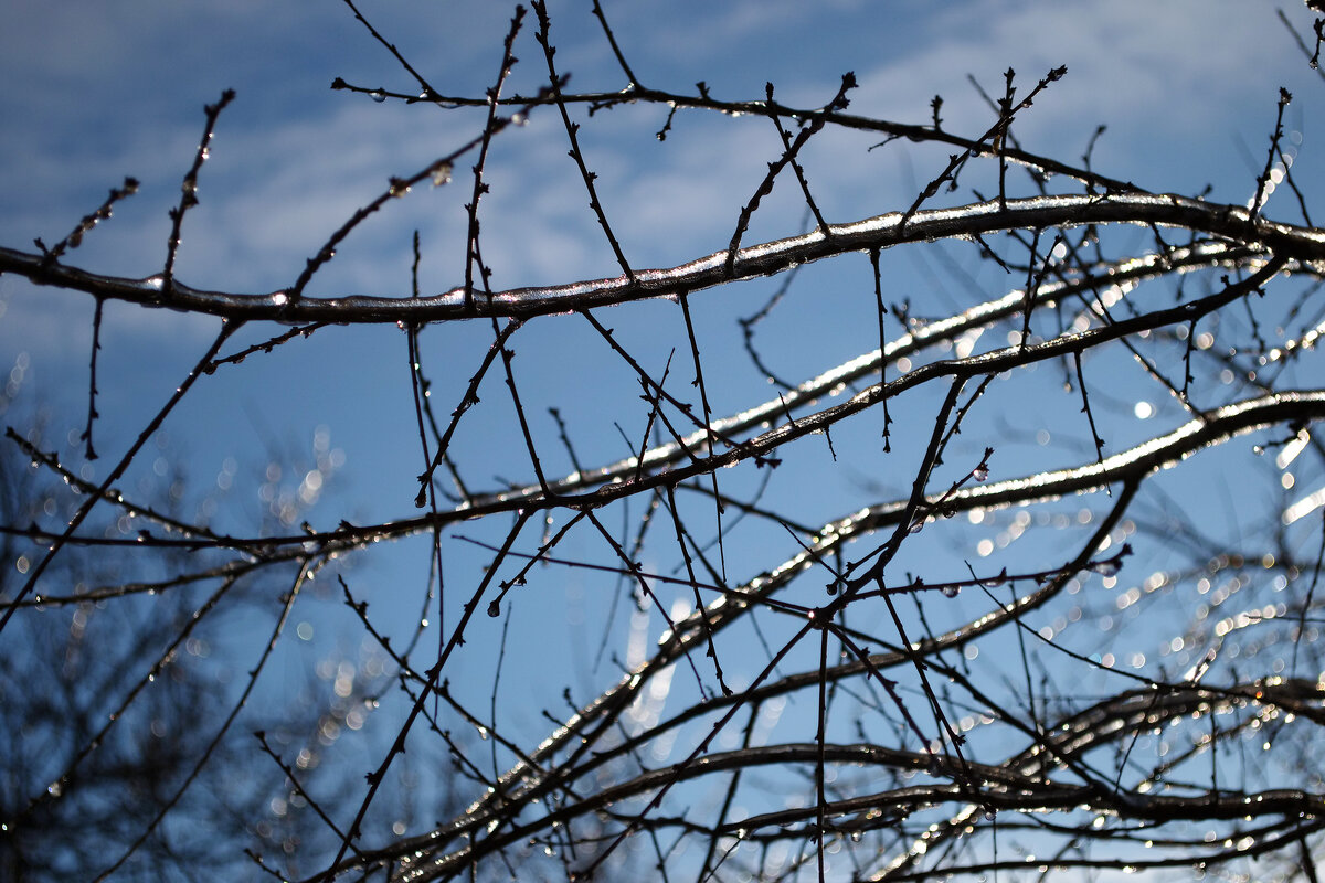 Обледенение - Александр Лычагин Обледенение - Александр Лычагин