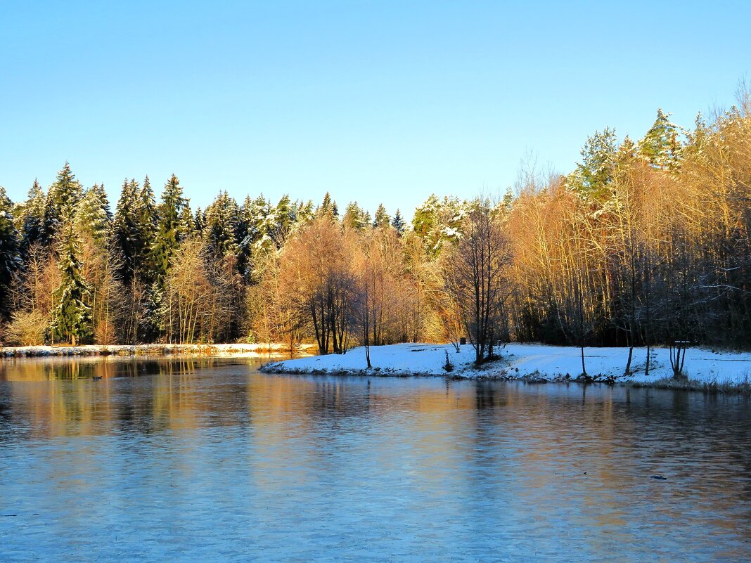 Первый лёд - Андрей Снегерёв