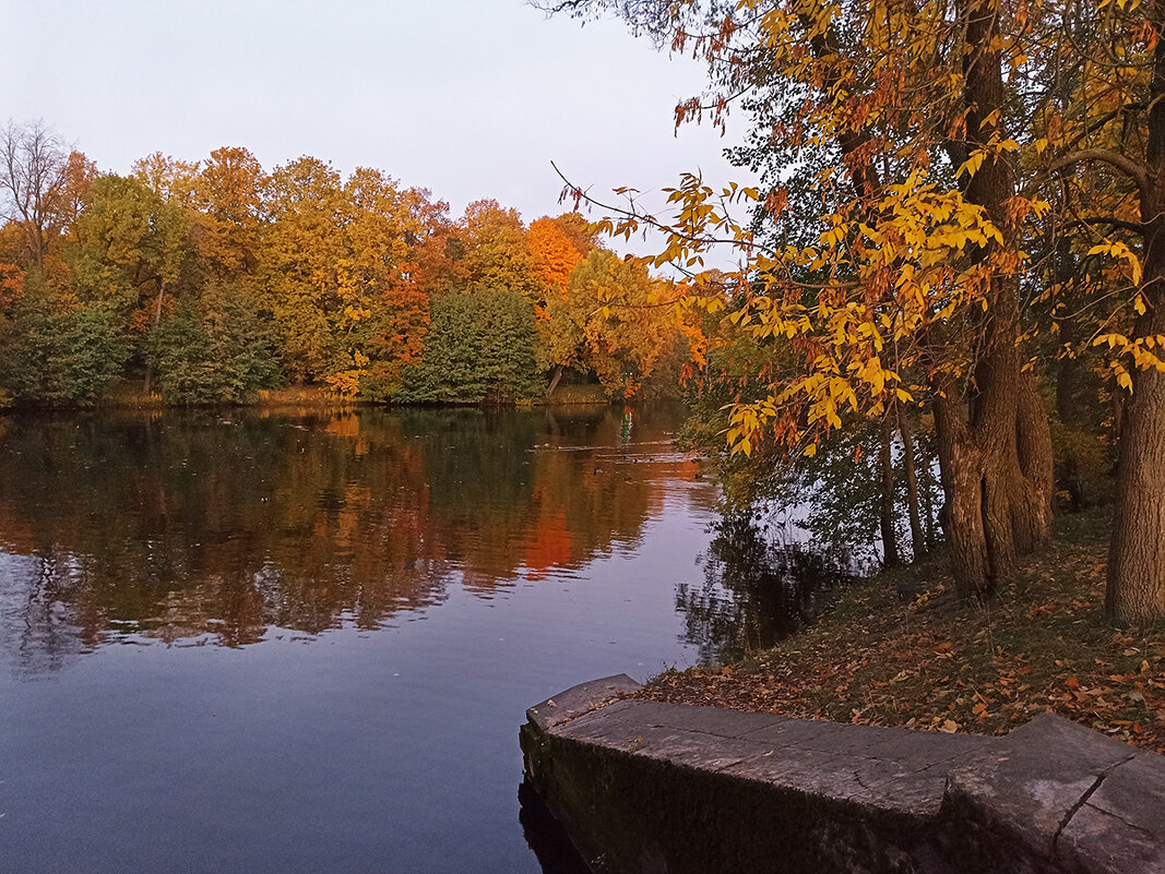 Осенняя зарисовка. - Лилия *