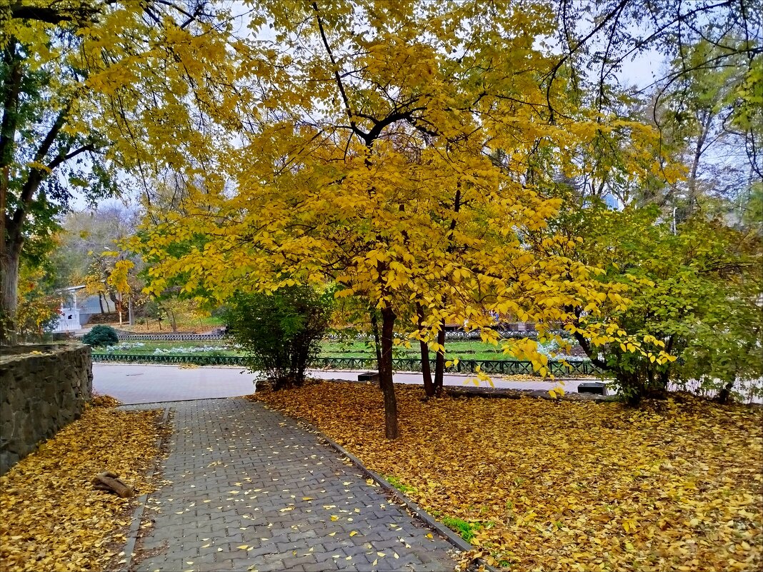 Картинки осени! - Надежда 