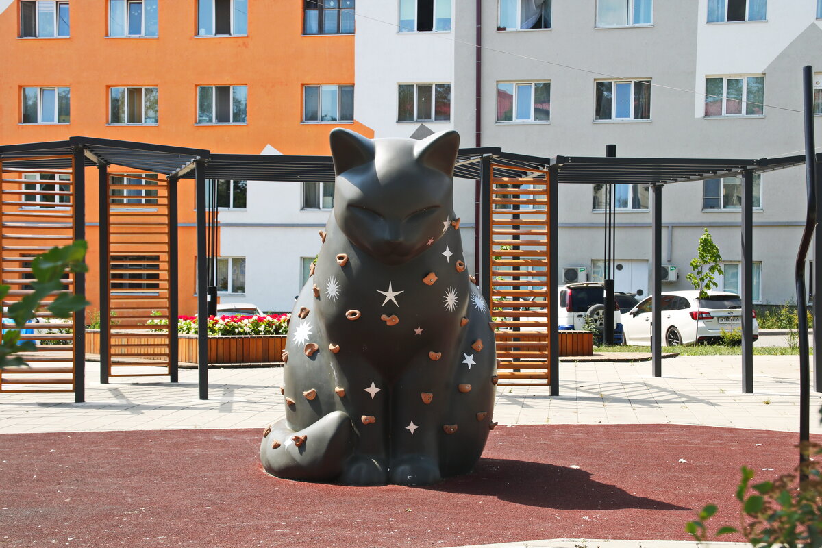 г.Корсаков. Сахалин. Грустная киска. - Ирина Нафаня