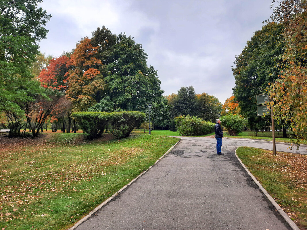 Осень в Коломенском - Irene Irene