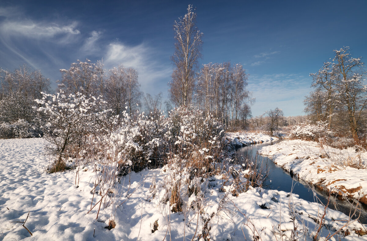 Первый ... - Roman Lunin