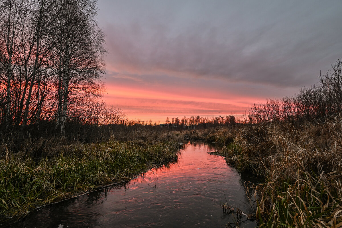 в малиновых оттенках - сергей в малиновых оттенках - сергей