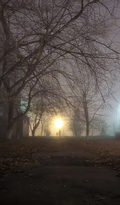 Туманный вечер - Надежда 