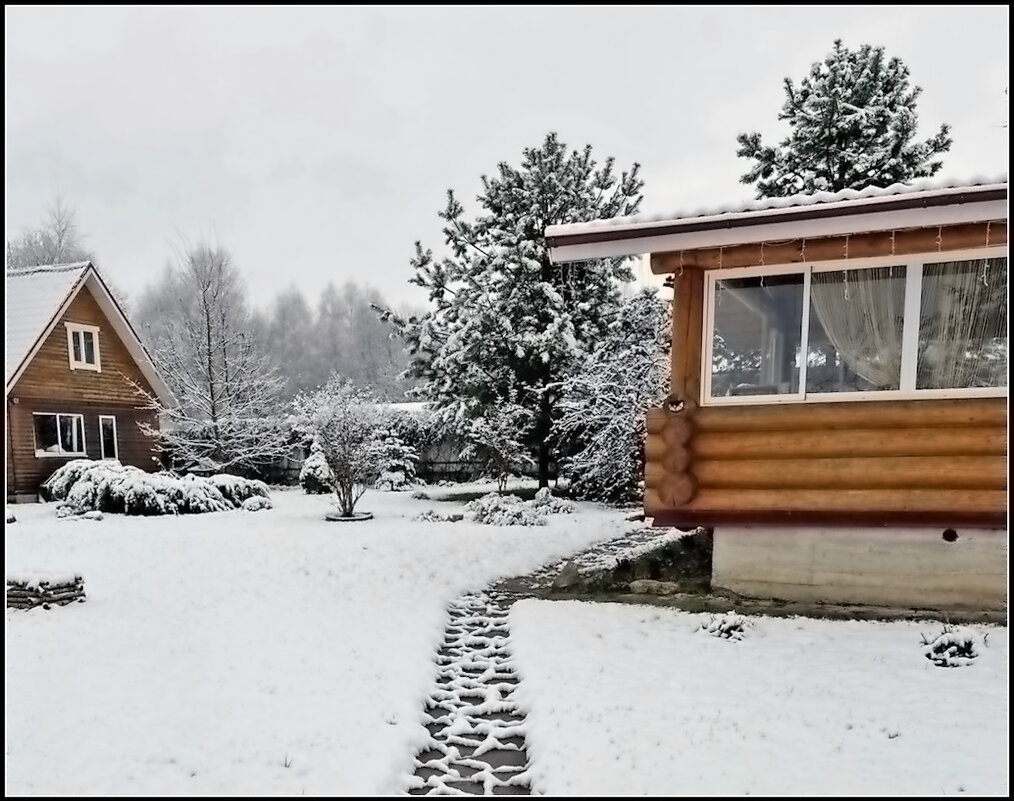 Репетиция зимы - Ольга Довженко