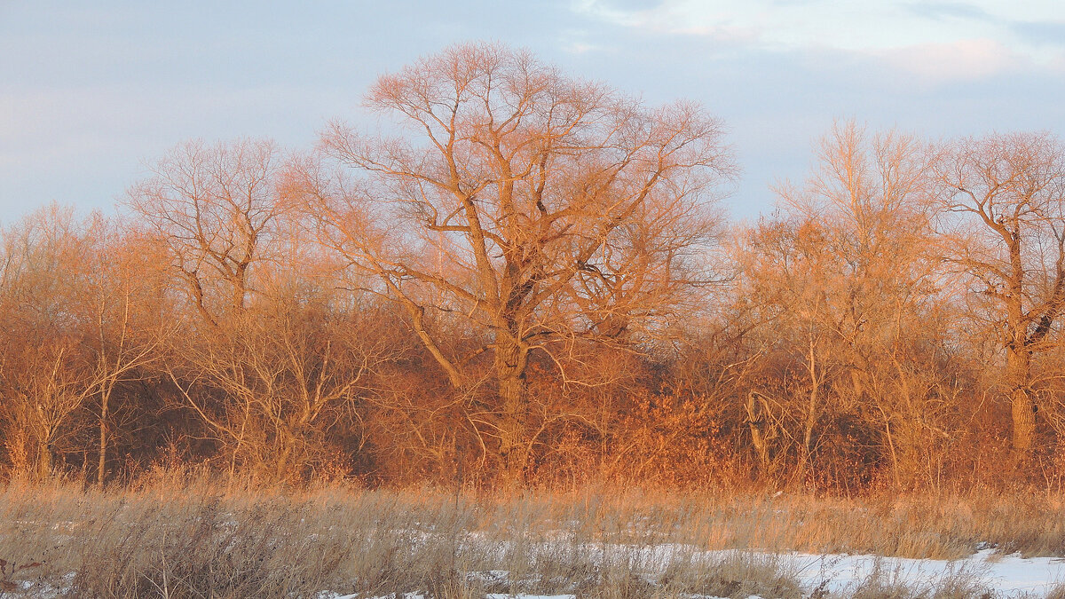 Ноябрьская сказка - Владимир Кириченко