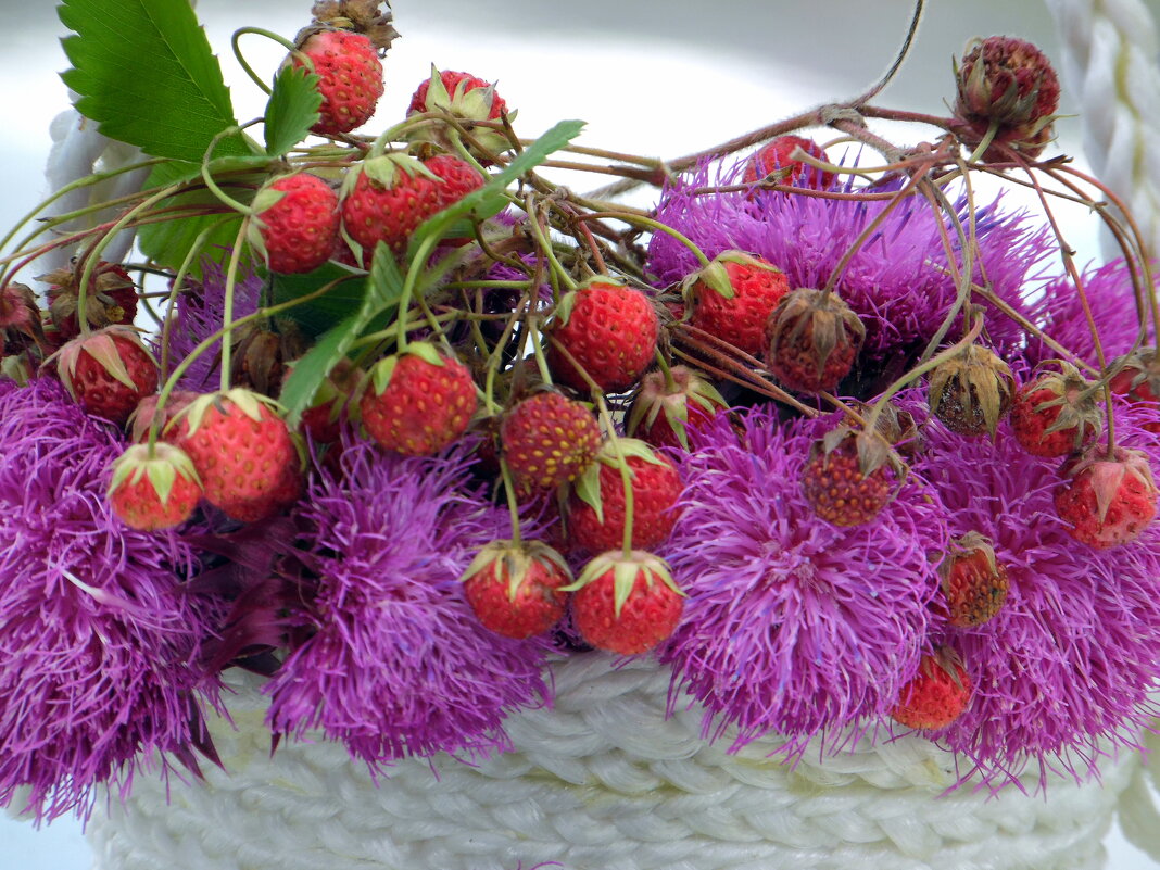 Летняя гирлянда. - nadyasilyuk Вознюк