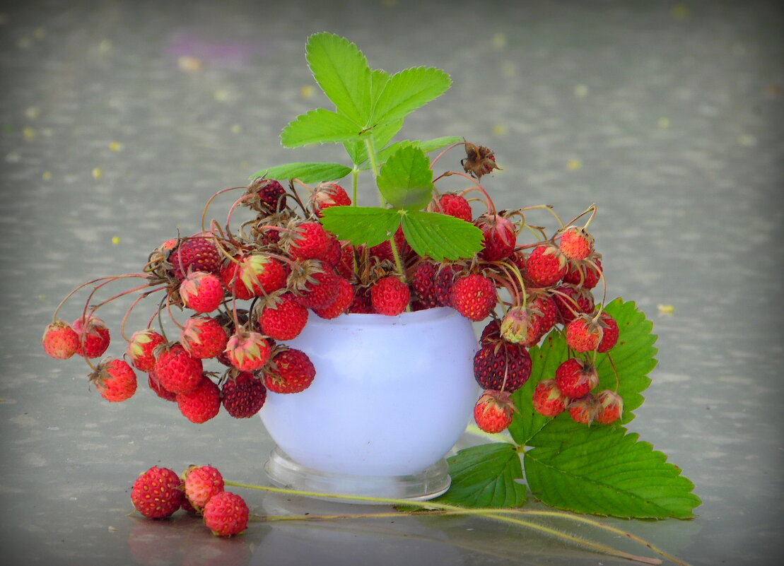 Вкусный букетик. - nadyasilyuk Вознюк