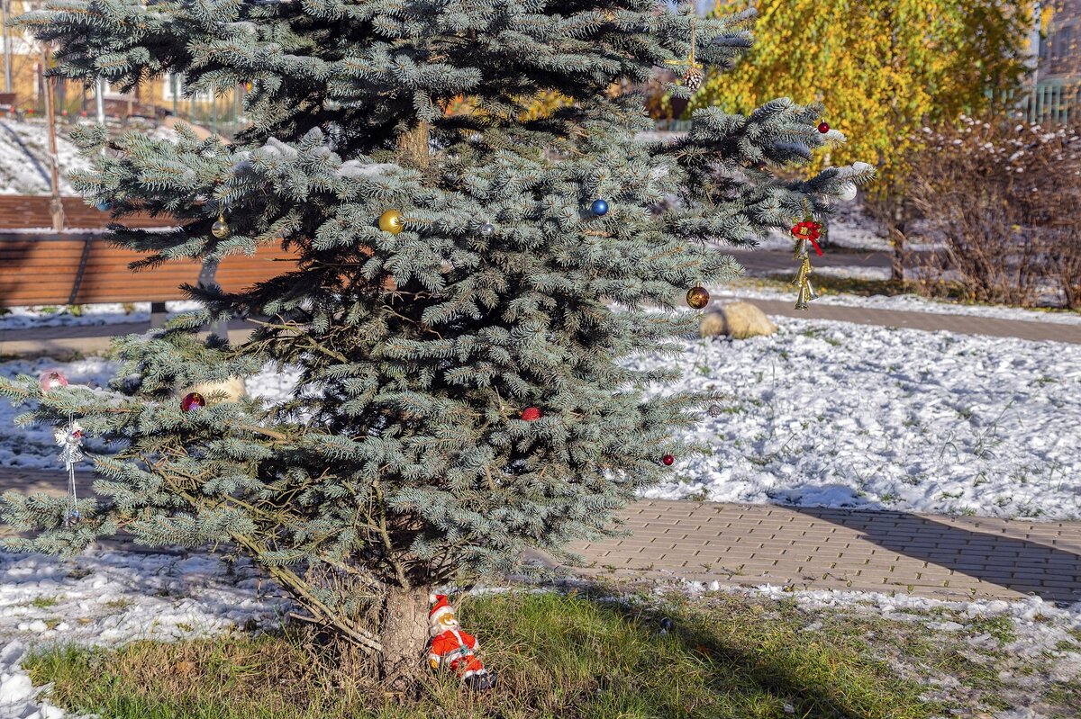 Нарядили ёлочку - Валерий Иванович