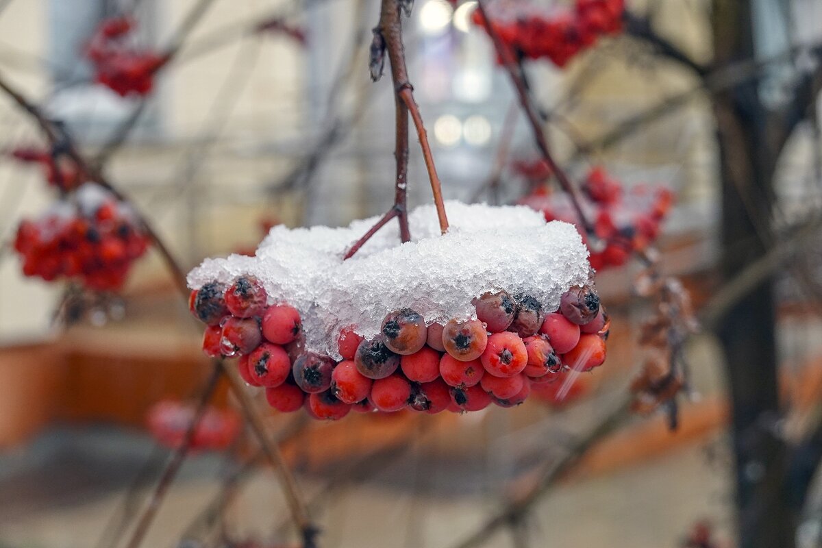 Прикрыло снежком - Валерий Иванович
