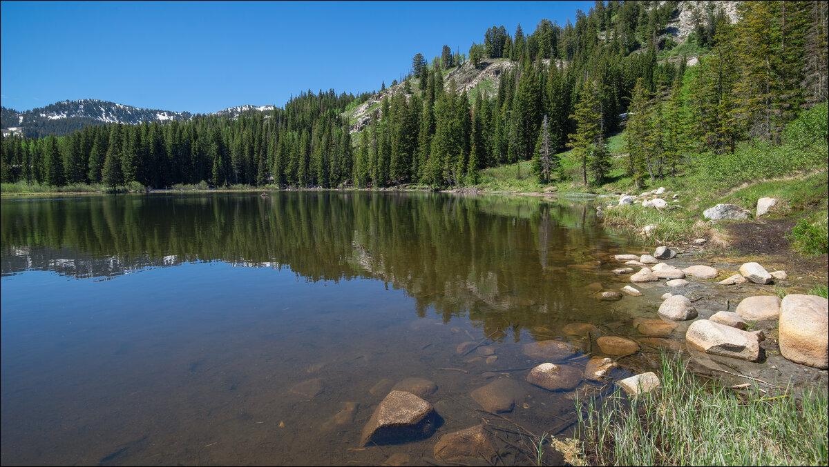 Серебряное озеро - **** vedin