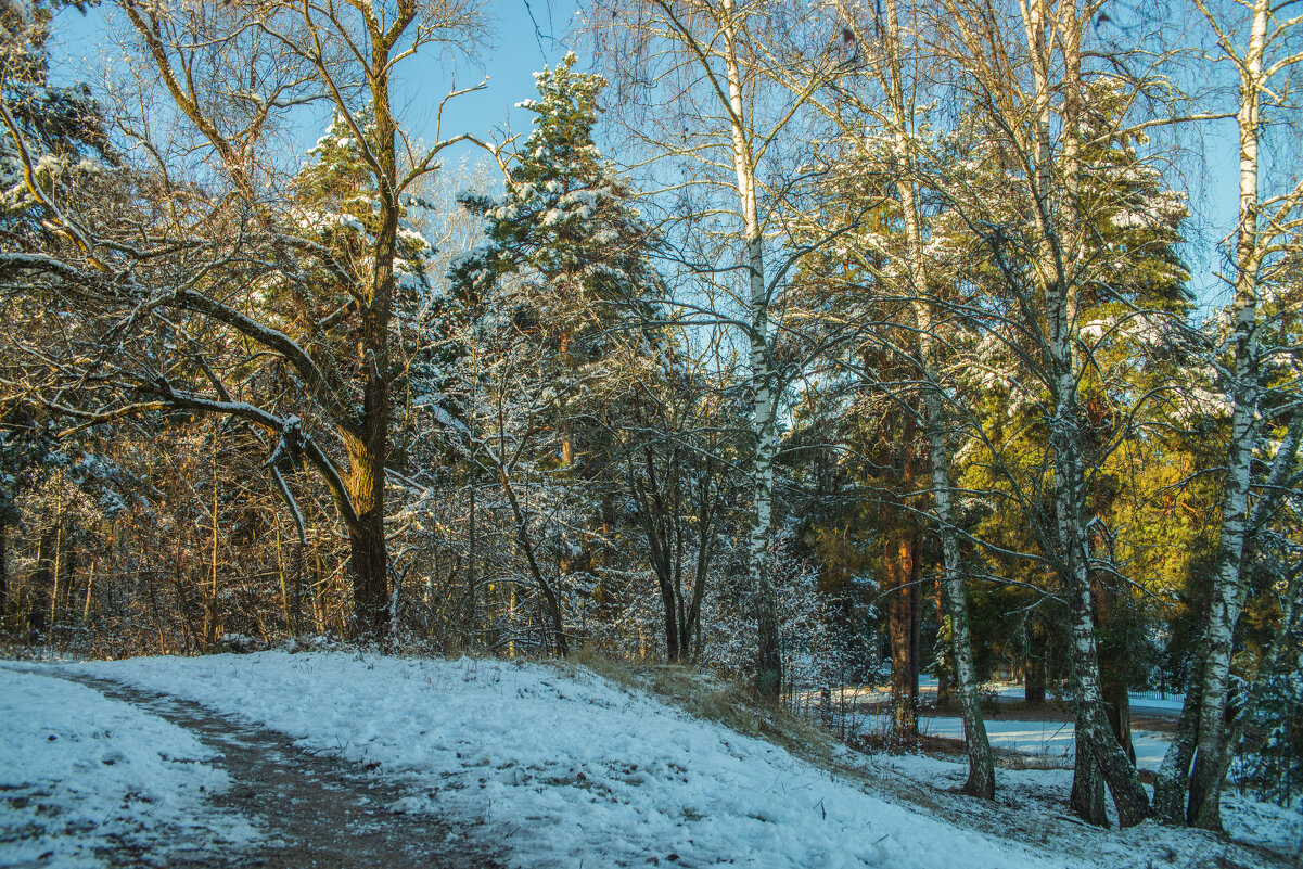 Первый снег. - Николай 