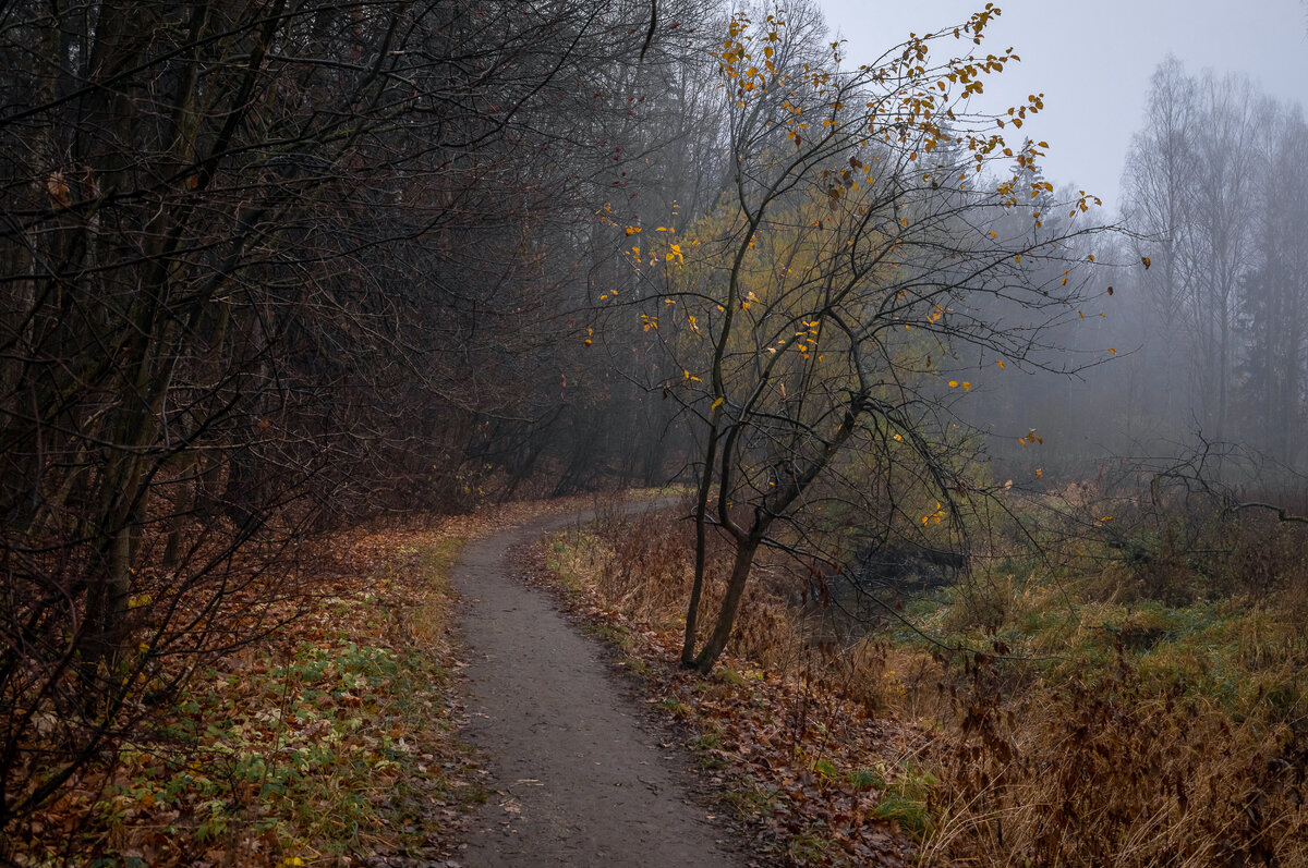 **** - Елизавета .