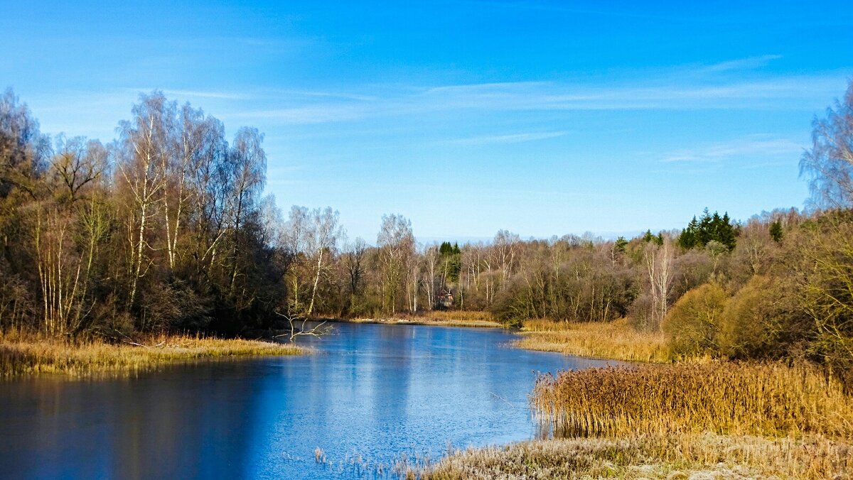 Смоленская область в середине ноября. - Милешкин Владимир Алексеевич 