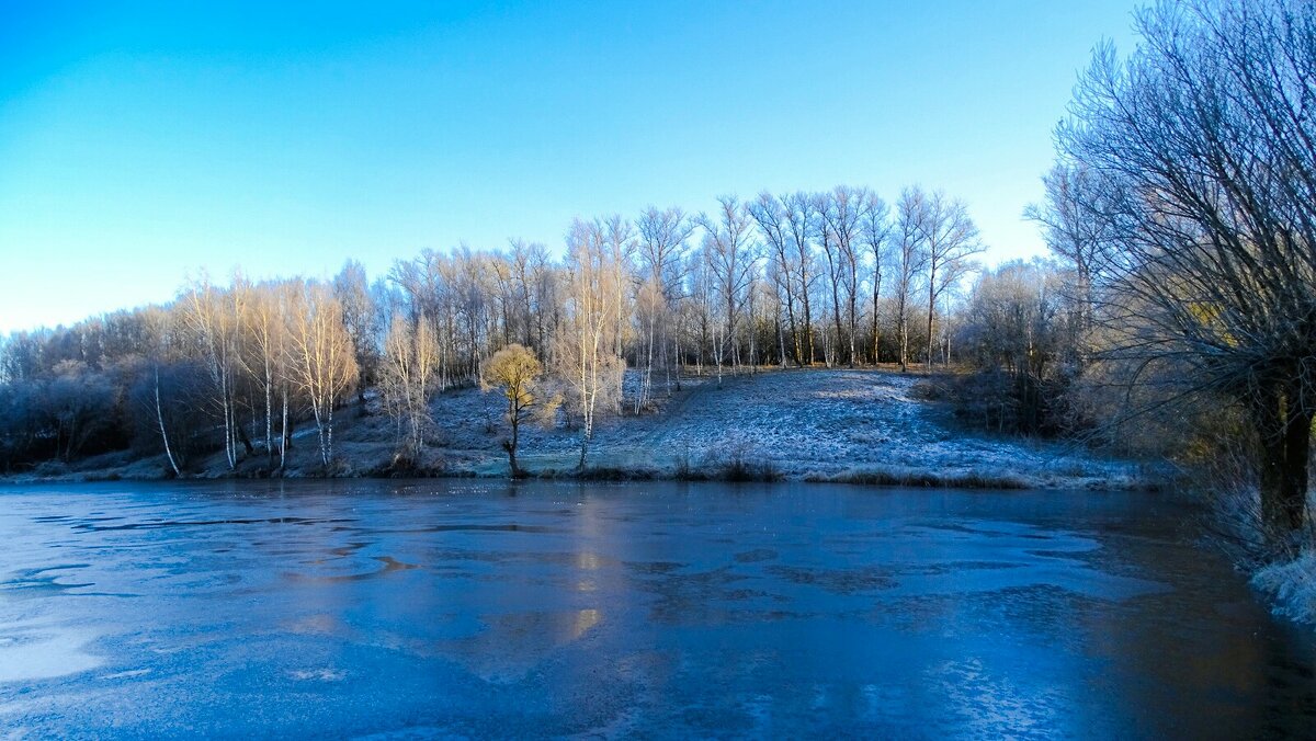 Картинка ноября. - Милешкин Владимир Алексеевич 