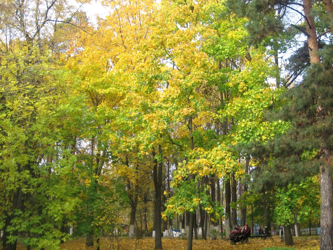 Осенью - Елена Семигина