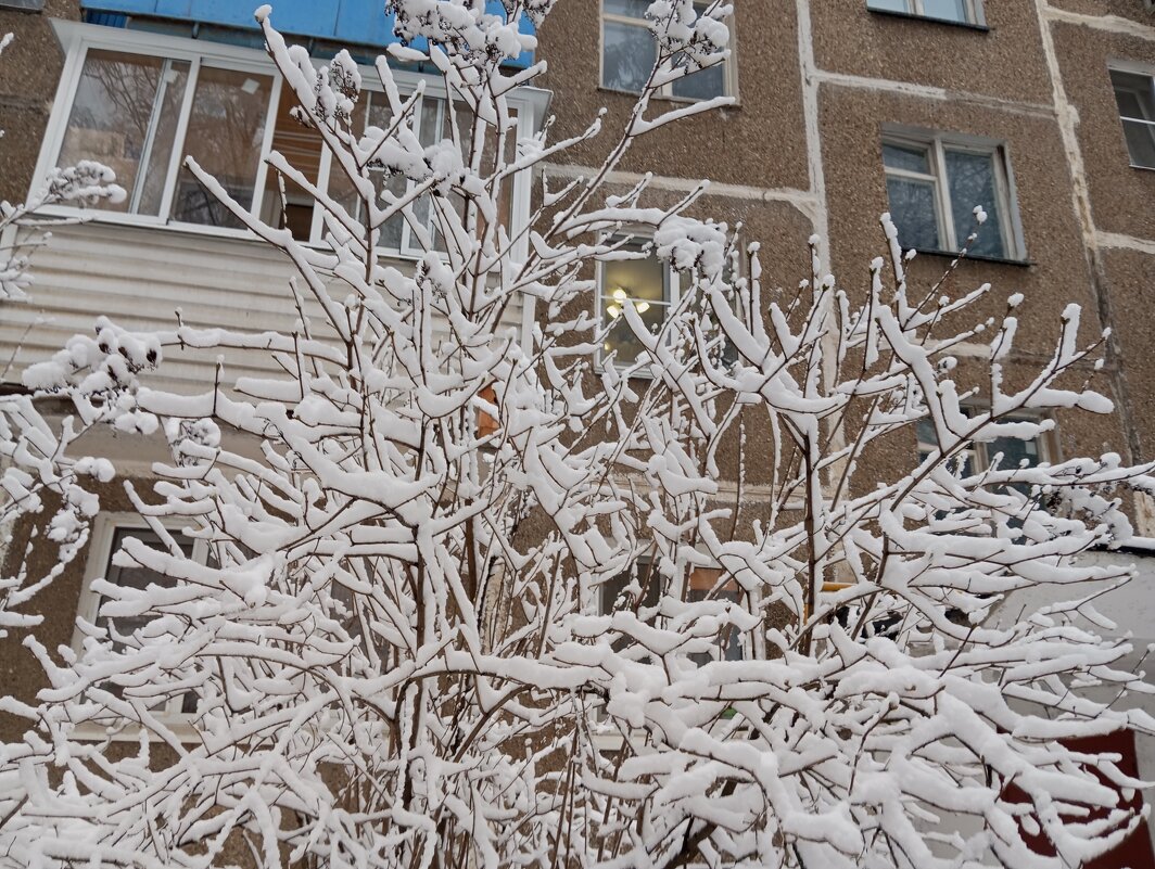 Зимой - Елена Семигина