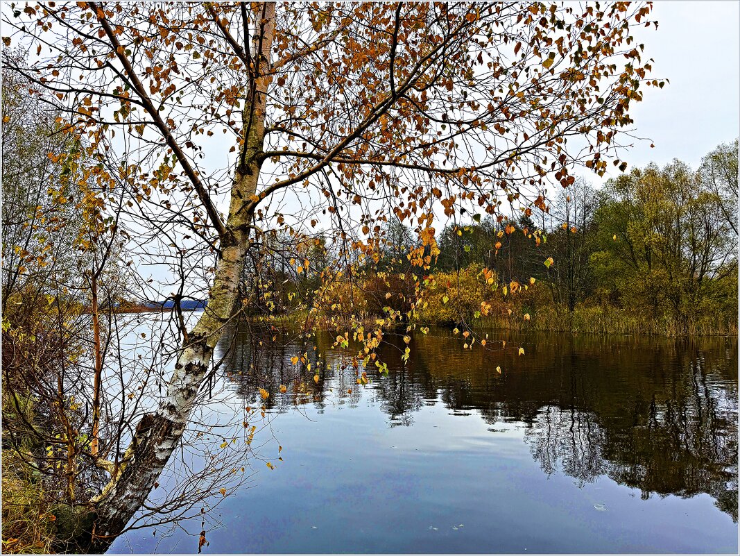 Ноябрь. - Валерия Комова