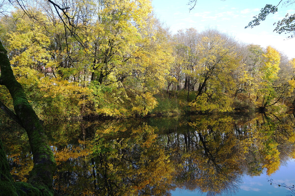 Картинки ноября - Рита Симонова