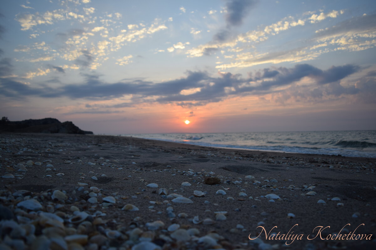 Природа Крыма - Amazing Cosmea