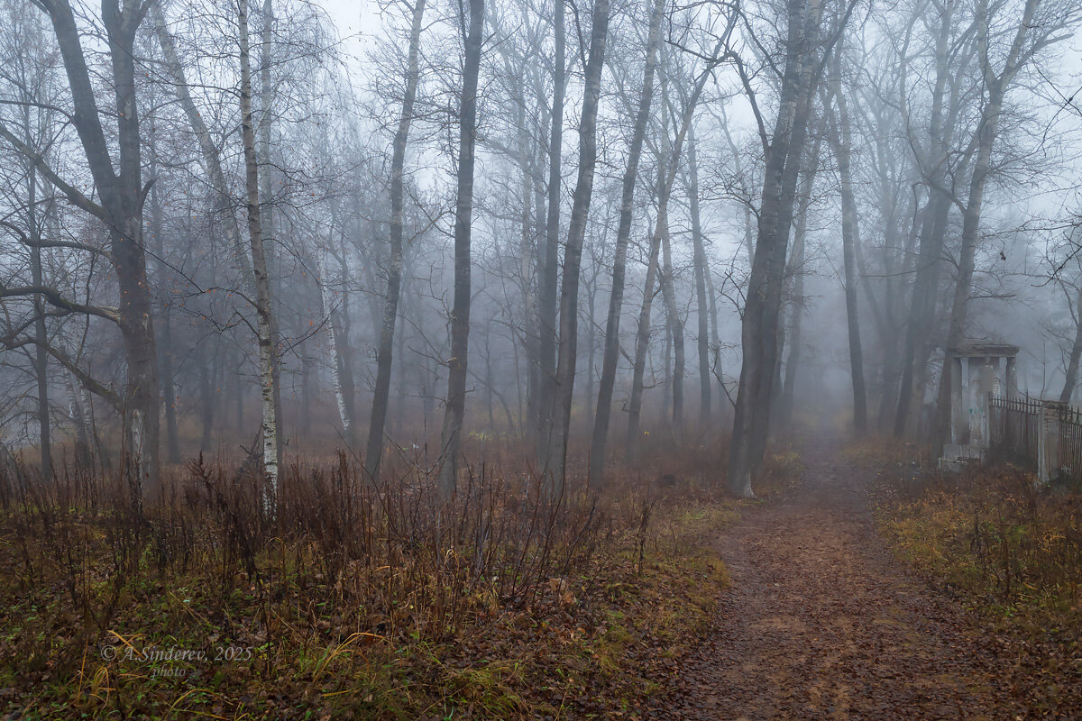 Туманное послание - Александр Синдерёв