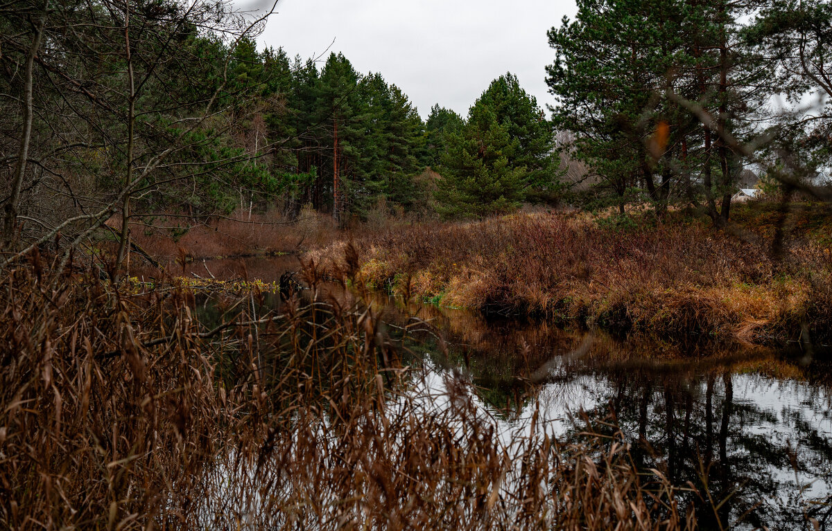 река - Serega Alucard X2