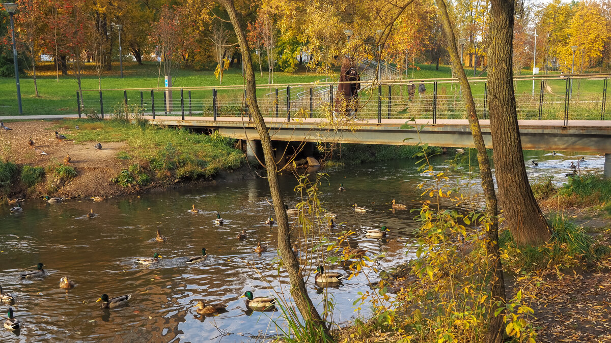 Осенний Сюжет - юрий поляков