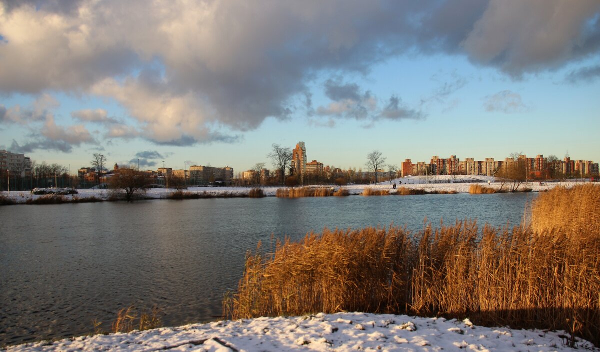 Парк Героев-пожарных. Ноябрь - Наталья Герасимова