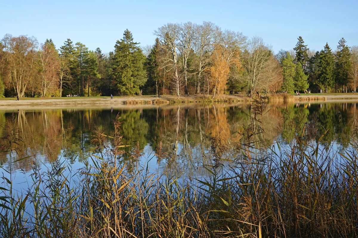 Ноябрь уж  на дворе... - Галина 