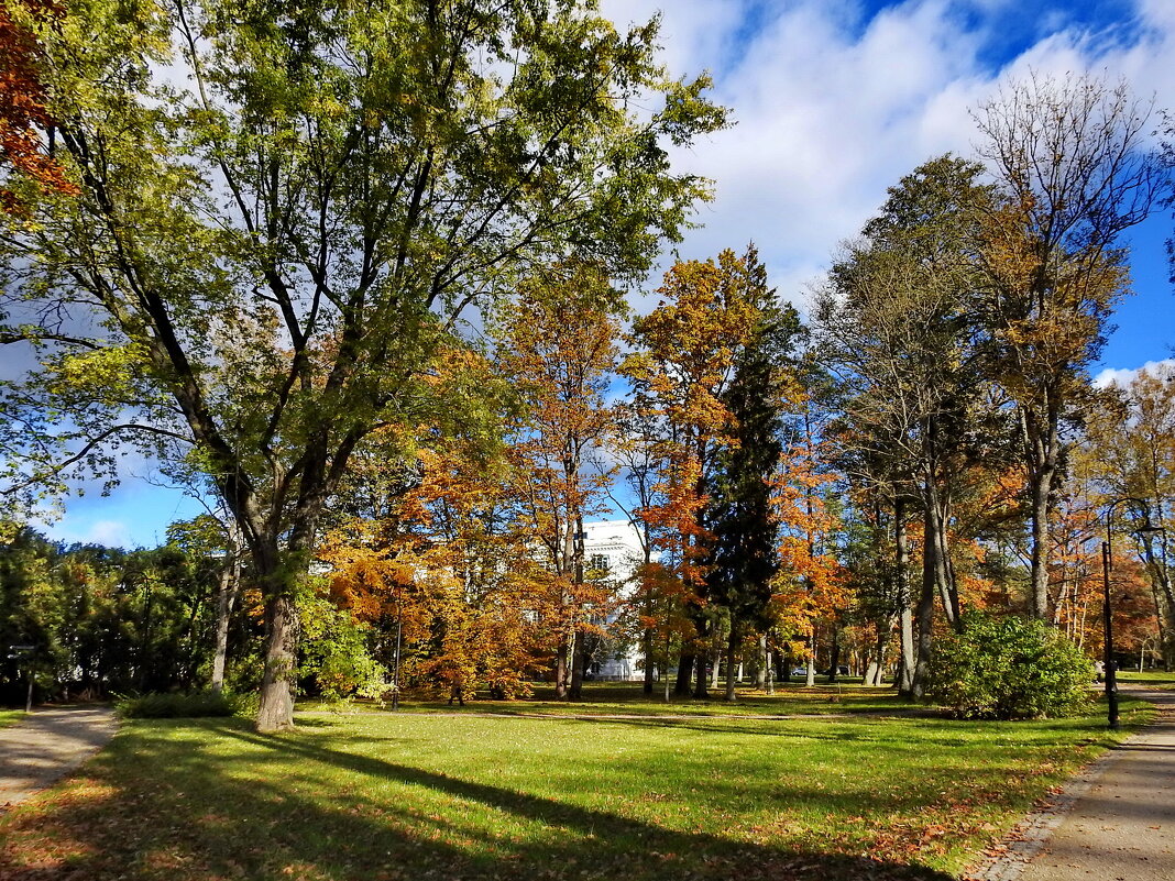 **** - ИННА ПОРОХОВА **** - ИННА ПОРОХОВА