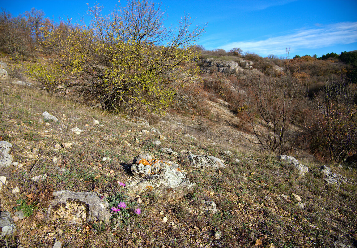 тёплый ноябрь - Всеволод 