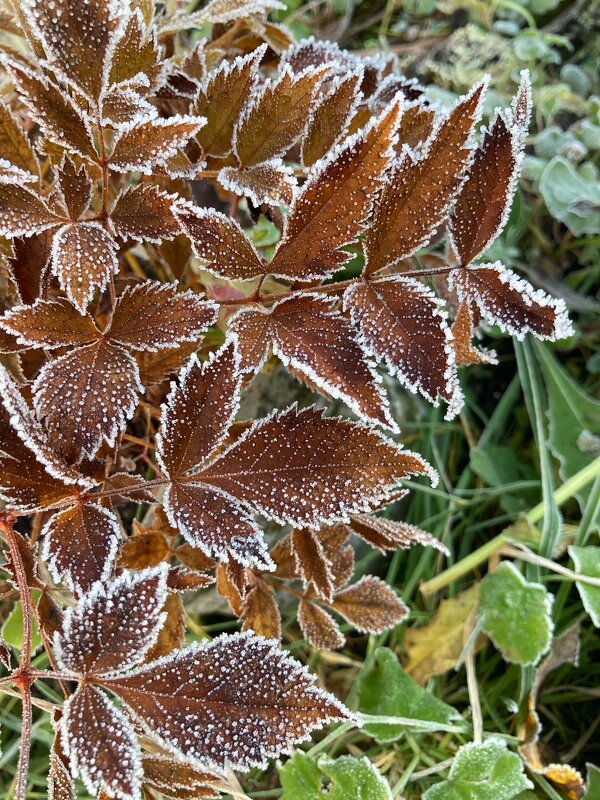 По контуру - Ольга Савельева 
