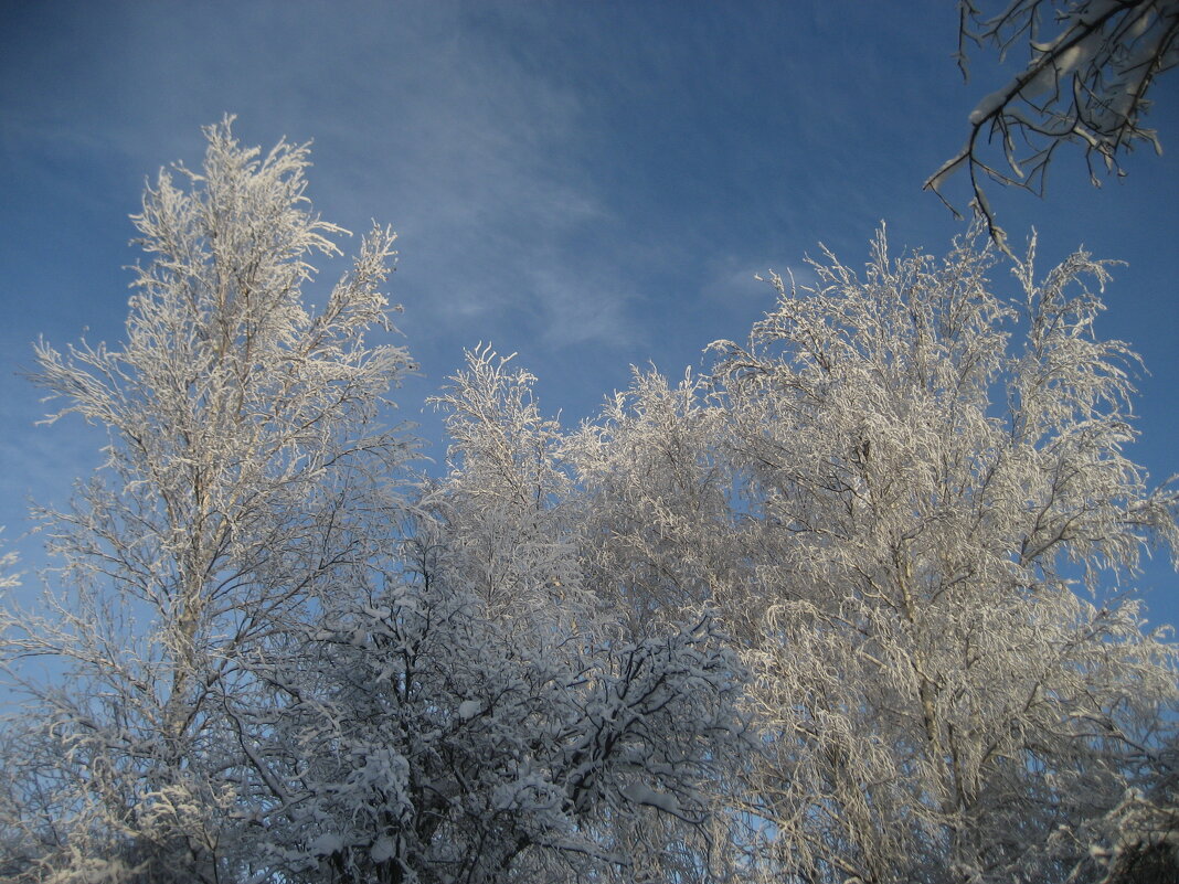 Зима - Anna Ivanova